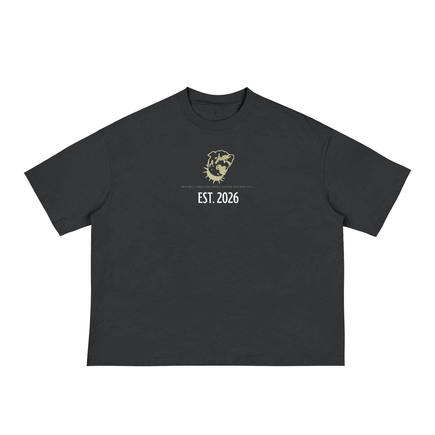 Classic Loose Boxy Tee